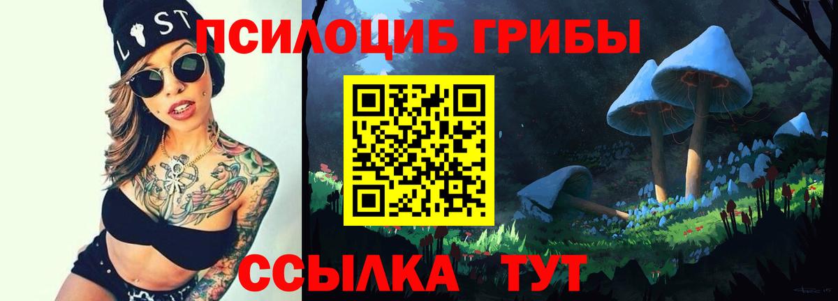 Красный Сулин  Псилоцибиновые грибы Magic Shrooms  Вход с VPN  Псилоцибиновые грибы Cubensis 